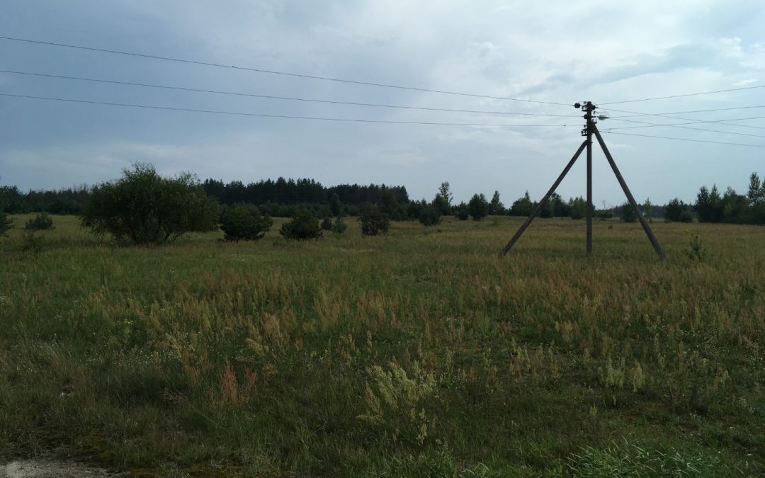 Земельна ділянка (село Городок) для розміщення сонячних панелей