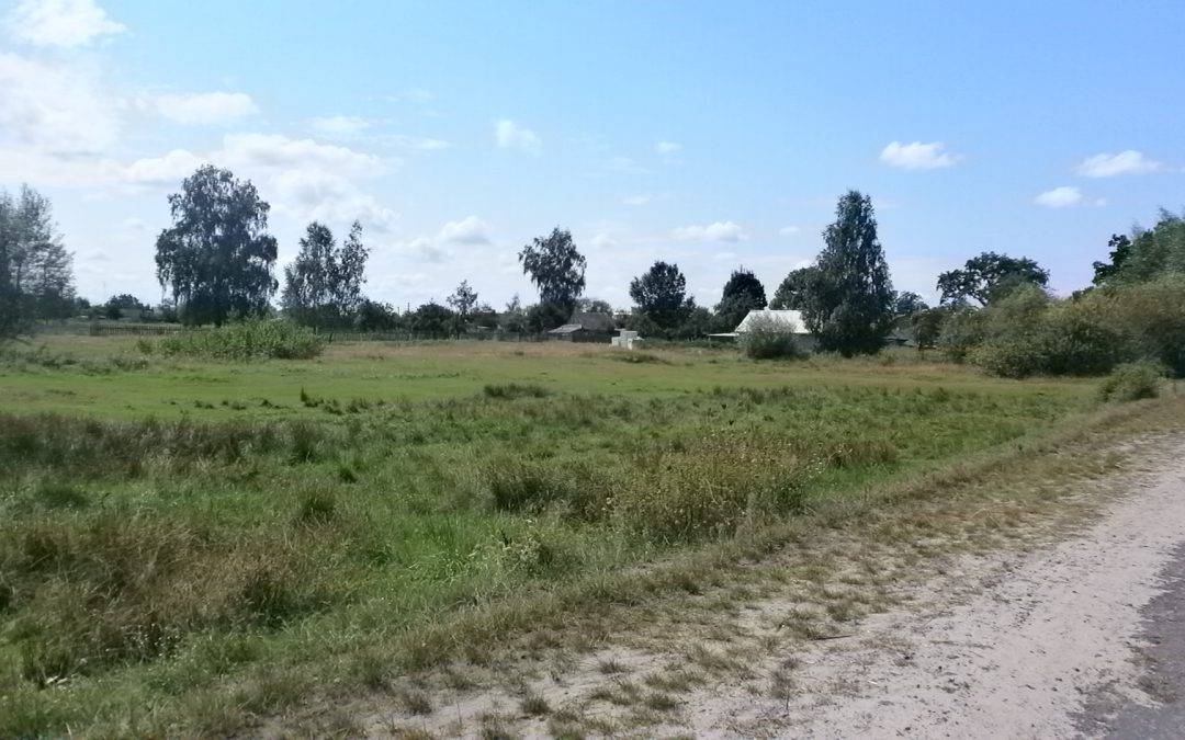 Вільна земельна ділянка для будівництва автозаправної станції в смт Заболоття