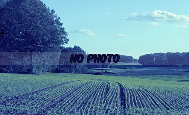 No_photo
