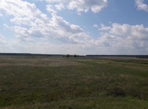 Foto-1-2.jpg
